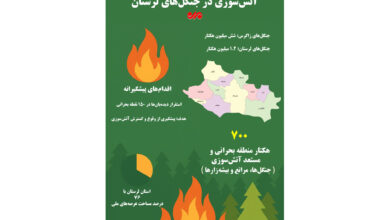 اینفوگرافیک |جنگل‌های لرستان؛ آماده‌باش برای مقابله با آتش‌سوزی!