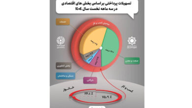 تسهیلات پرداختی بر اساس بخشهای اقتصادی در سه ماهه نخست سال ۱۴۰۴ 7 | نقش نیوز تسهیلات پرداختی بر اساس بخشهای اقتصادی در سه ماهه نخست سال ۱۴۰۴