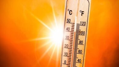 ترفند ساده خنک کردن ماشین در گرمای تابستان ، بدون کولر! 11 | نقش نیوز افزایش دما در شمال/ کاهش محسوس دما در شرق کشور