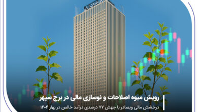درخشش مالی «وبصادر» با جهش ۷۷ درصدی درآمد خالص در بهار ۱۴۰۴ 9 | نقش نیوز رویش میوه اصلاحات و نوسازی مالی در برج سپهر