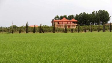 سوداگری با تغيير كاربری اراضی در شمال