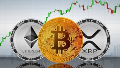 رمزارزها گارد صعودی گرفتند 9 | نقش نیوز آخرین وضعیت بازار رمزارزها در جهان