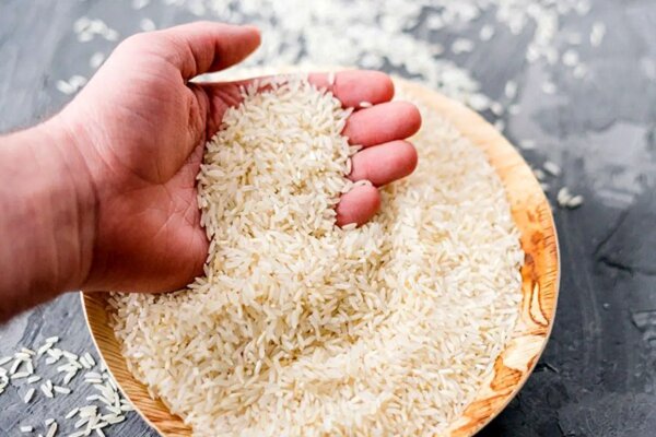 قصه رنج و گنج برنج؛ کشاورز و مردم ناراضی اما دلال راضی 1 | نقش نیوز قصه رنج و گنج برنج؛ کشاورز و مردم ناراضی اما دلال راضی