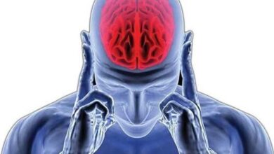 علائم و مراحل آغاز آلزایمر چیست؟ 6 | نقش نیوز علائم و مراحل آغاز آلزایمر چیست؟