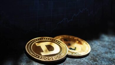 دوج_کوین رکورد زد