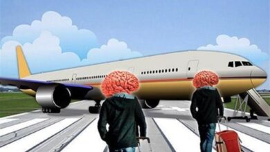 مهاجرت دیجیتال و کارآفرینی جهانی 5 | نقش نیوز فرار مغزها به شکل مهاجرت دیجیتال