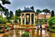 در شهر خودتان پول درآورید!