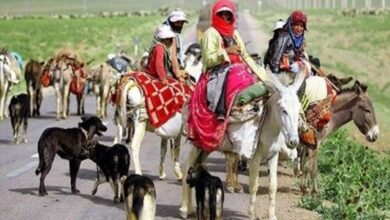 عشایر؛ موتور محرک توسعه ملی 7 | نقش نیوز پیوند سنت و نوآوری ، مسیر تازه توسعه