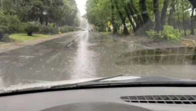 کاهش شدید بارندگی در ۹۰ درصد استانهای کشور 1 | نقش نیوز کاهش شدید بارندگی در ۹۰ درصد استانهای کشور