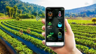 دستاوردهای استارتآپهای ایرانی در حوزه کشاورزی 4 | نقش نیوز از مزرعه تا سفره؛ بدون واسطه، با یک کلیک