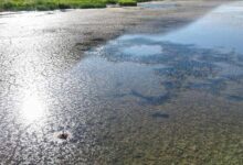 بحران آب تهران به مرز تنش جدی رسیده است