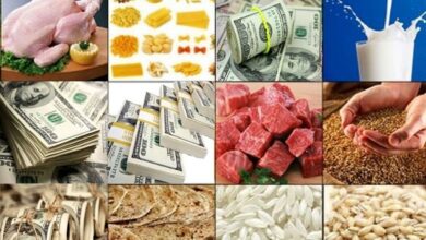 دلار ۲۸۵۰۰ نباید حذف شود