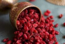 زرشک ایرانی به سفره کدام کشورها می‌رود؟