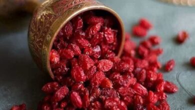 زرشک ایرانی به سفره کدام کشورها میرود؟ 13 | نقش نیوز زرشک ایرانی به سفره کدام کشورها میرود؟