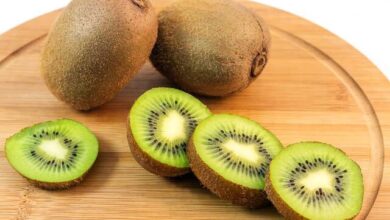 صادرات ۳۵ هزار تن کیوی ایرانی به ۲۳ کشور 1 | نقش نیوز روسیه اولین مشتری