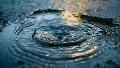 چینیها از قطرات باران برق تولید کردند 23 | نقش نیوز چینیها از قطرات باران برق تولید کردند