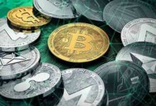 کشف ۱۰۴ مزرعه غیرمجاز در تهران معادل مصرف ۱۰ هزار خانوار