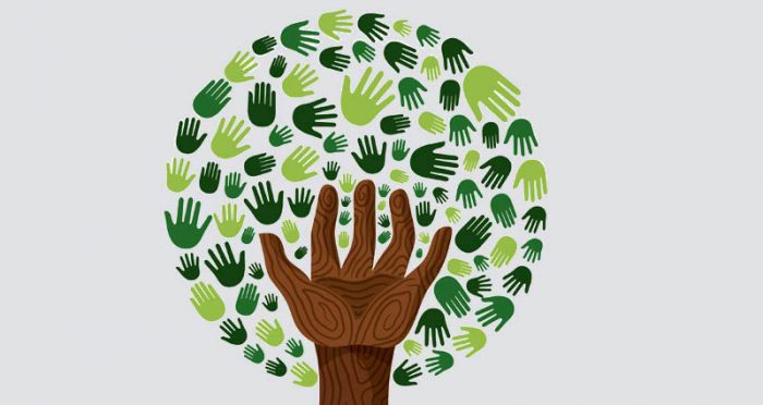 کارآفرینان اجتماعی؛ قهرمانان بیسروصدا 2 | نقش نیوز کارآفرینان اجتماعی؛ قهرمانان بیسروصدا