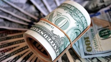 اثرگذاری حذف ارز ترجیحی چه زمانی است؟