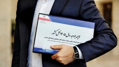 اینفوگرافیک/ کدام استانها بیشترین و کمترین سهم را از بودجه ۱۴۰۵ دارند 8 | نقش نیوز منابع بودجه ۱۴۰۵ تصویب شد
